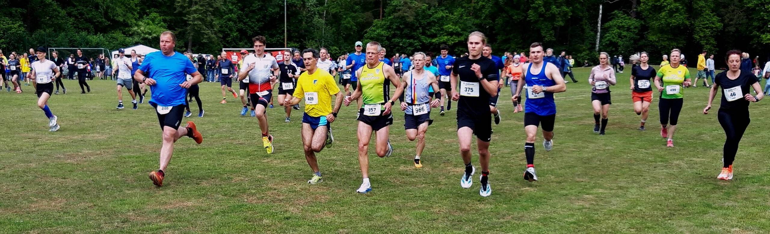 20250518 VLbanner2026